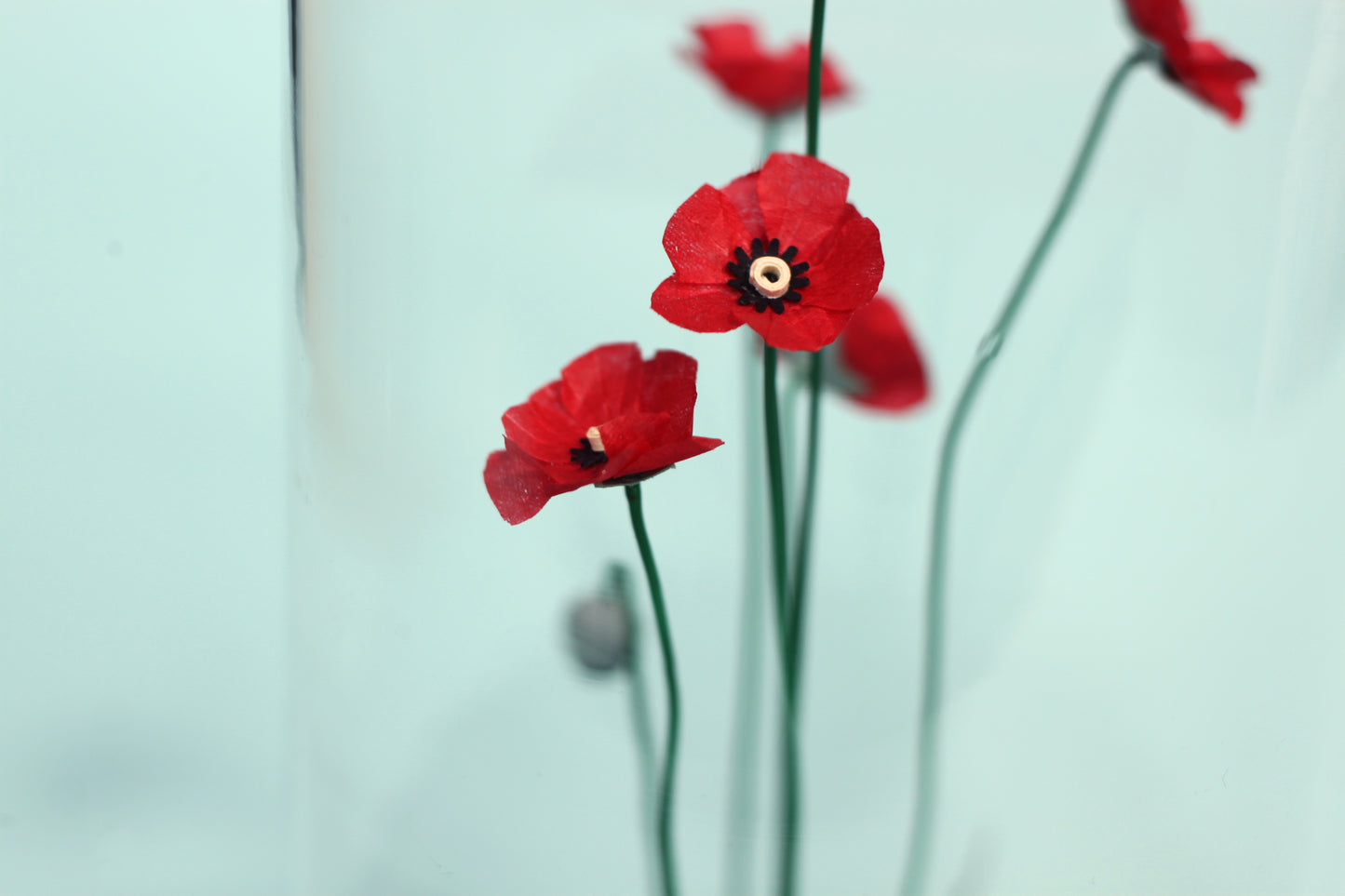 Cloche THE DELICATENESS OF POPPIES