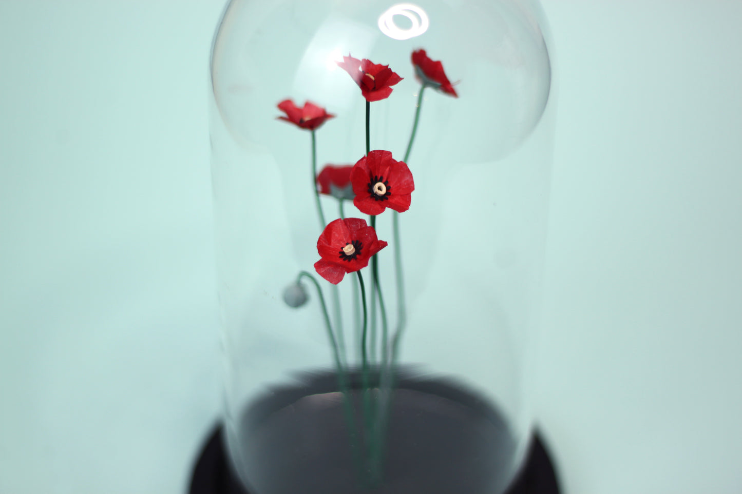 Cloche LA DELICATESSE DES COQUELICOTS